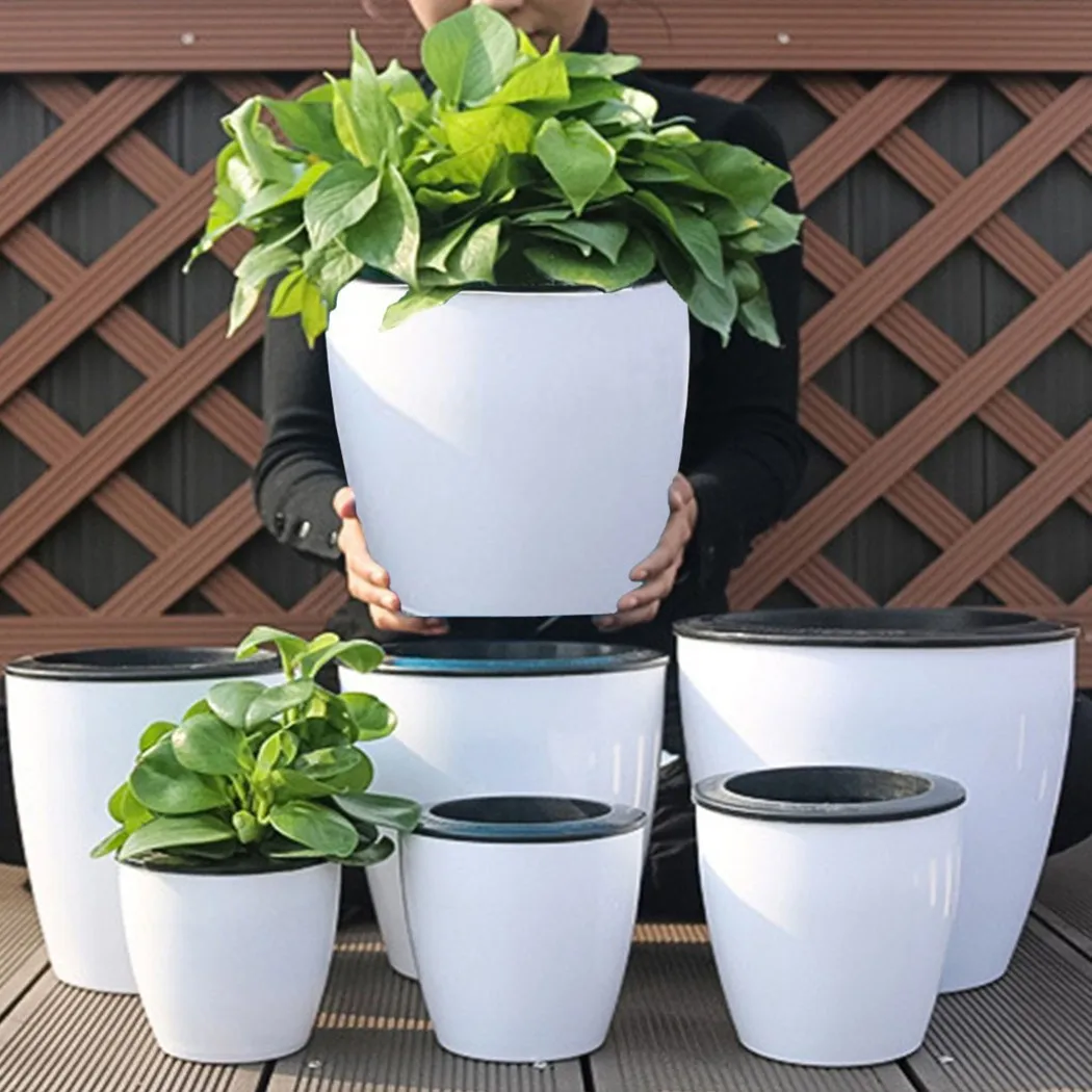 Ленивый цветочный горшок, само – обзор и цена Aloe Vera Pot