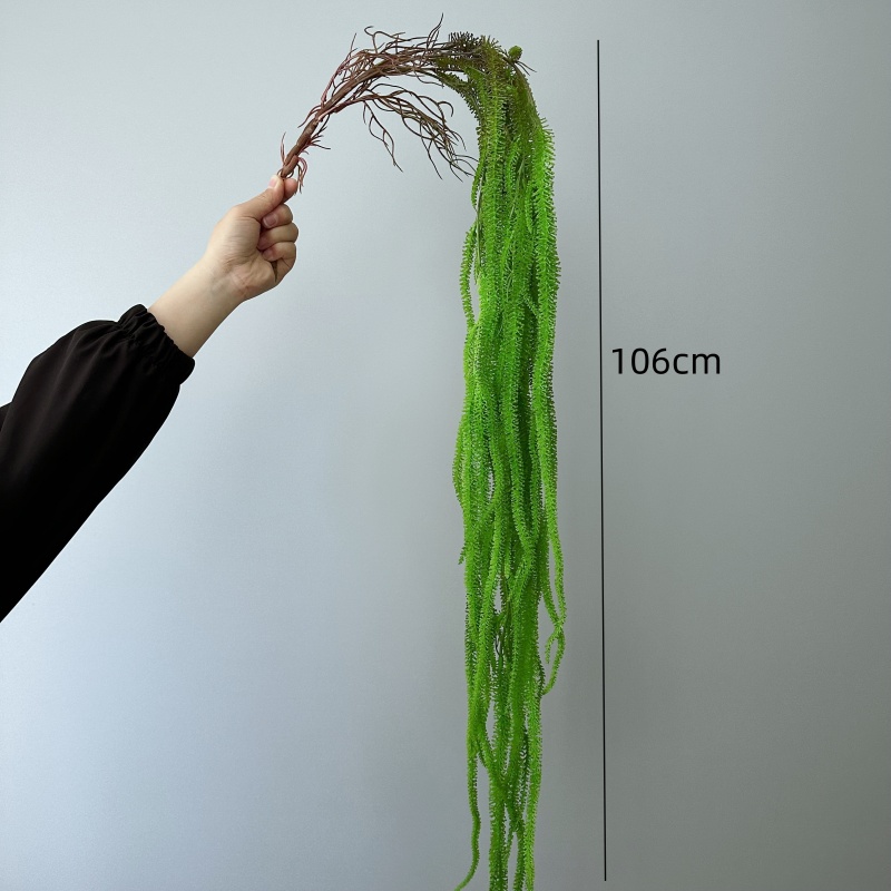 Искусственная борода ивы, унив – обзор и цена Monstera Adansonii