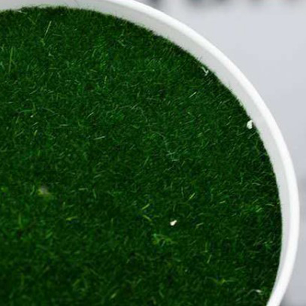 Искусственный горшок для расте – обзор и цена Aloe Vera Pot