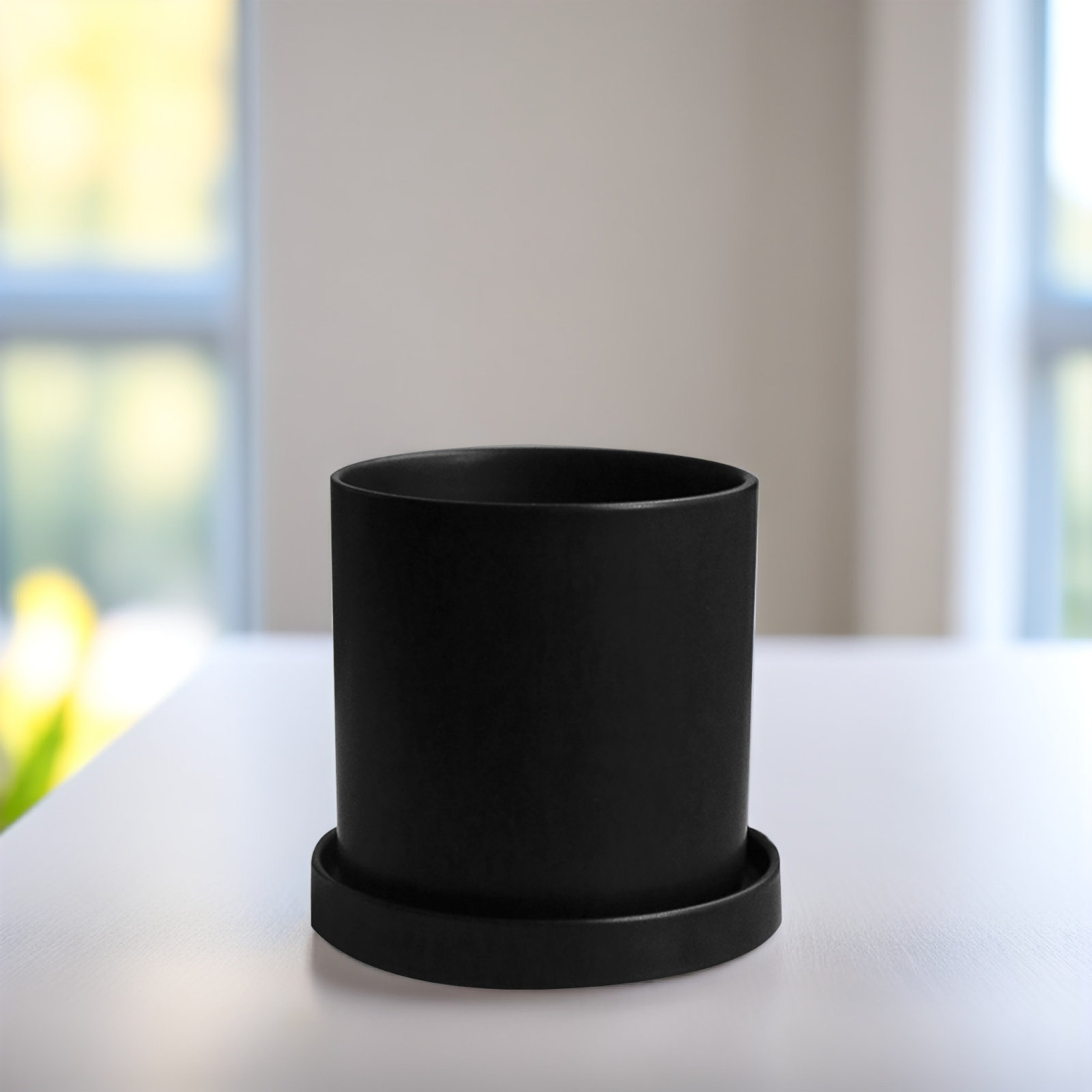 Набор стильных керамических го – обзор и цена Aloe Vera Pot